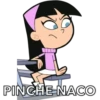 PINCHE NACO