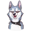 Dogs Memes 12