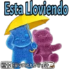 Panditas 11