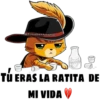 ANIMALS 13