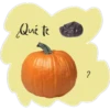 ¿Qué te
?