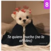 Secuencias de perritos  3 15