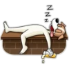 N N N