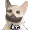 Fierro.