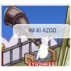 Club penguin 16