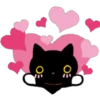 Gatinho preto 18