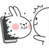 Rabbit 3 17