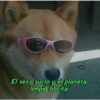 LO FI
El sexo sucio y el planeta
limpió bbcita
