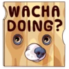 Dogs Memes 16
