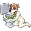 Cães loucos 8