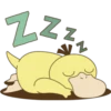 ZZZ
12