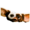 Gremlins & Mogwai 16