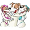 Cães loucos 9