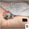 Secuencias de perritos  3 18