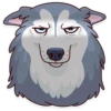 Dogs Memes 17