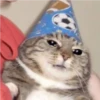 crying cats 18