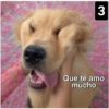 Secuencias de perritos  3 21