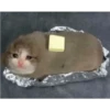 crying cats 19