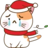 Christmas cat 18
