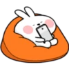 Rabbit 3 21