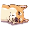 Dogs Memes 18