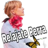 Relajate Perra
VERO
BELLIES