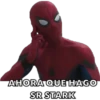 AHORA QUE HAGO
SR STARK