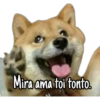 Mira ama toi tonto.