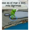 Club penguin 21