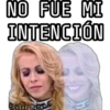 NO FUE MI INTENCIÓN *Pilar Mata