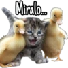Miralo....