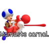 Mario Bros 2 24