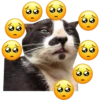 Oreo 23
