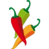 Mexico 24