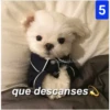 Secuencias de perritos  3 25