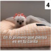 Secuencias de perritos  3 26