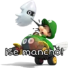 Mario Bros 2 25