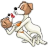 Cães loucos 18