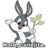 Hola, conejita.
@EL Jordanz