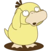 Psyduck 16