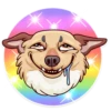 Dogs Memes 22