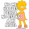 NO ME HABLES PERRA, NO ESTÁS AMI NIVEL @SOYCHOOOOMILQ