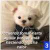 Secuencias de perritos  3 27