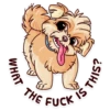 Dogs Memes 24