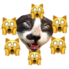 Oreo 25