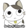No Fue mi Intención