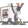 Chula, aquí dice que
eres una pendeja.
QEL Jordanz