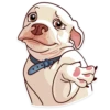 Dogs Memes 25