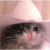 crying cats 25