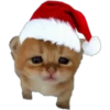 Memes Navideños  3 26